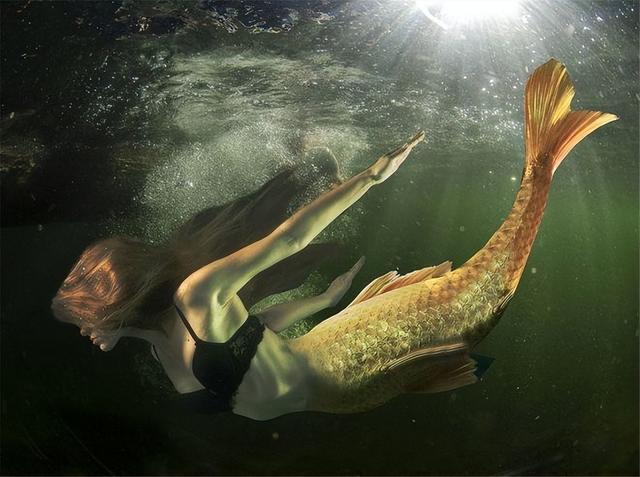 中国南海发现鲛人，揭开神秘海洋生物的神秘面纱，南海鲛人揭秘，揭开神秘海洋生物的面纱
