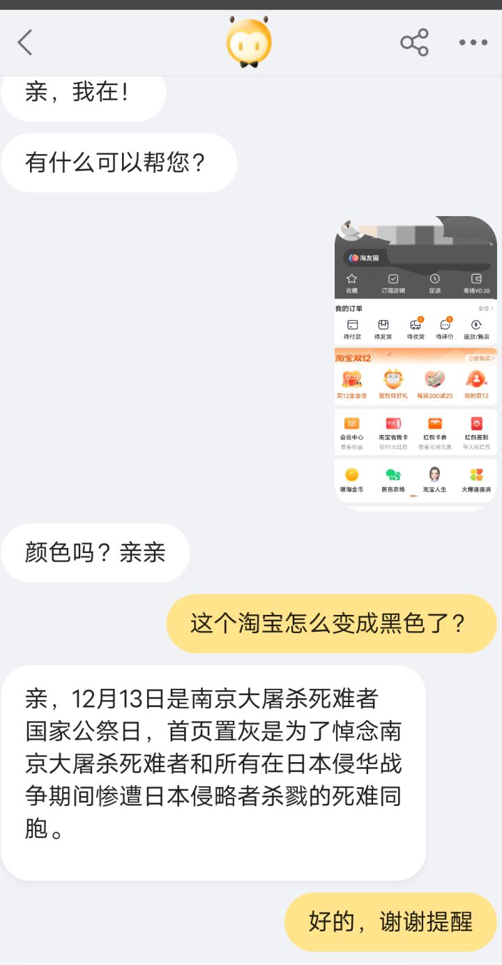 为什么今天淘宝是灰色，解读淘宝灰色主题背后的故事与意义——纪念特殊的日子，十二月十三日，淘宝灰色主题背后的故事与意义，纪念特殊日子的深层解读——十二月十三日