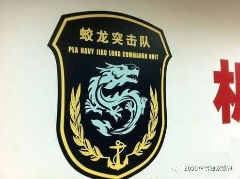 揭秘蛟龙突击队的成员数量，揭秘蛟龙突击队成员数量
