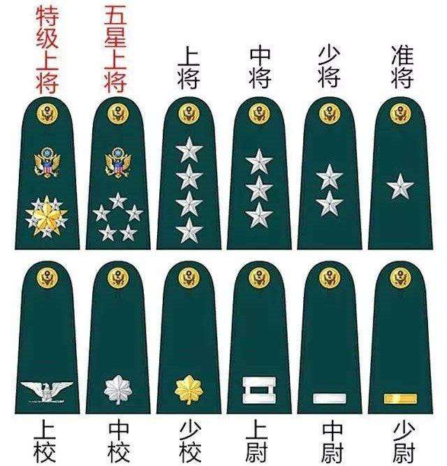 将军军衔与荣誉之花，探究军衔制度中的花的象征意义，将军军衔与荣誉之花，军衔制度中花的象征意义探究