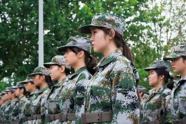 国防军事频道主持人王月，声音与力量的融合，国防军事频道主持人王月，声音与力量的完美融合
