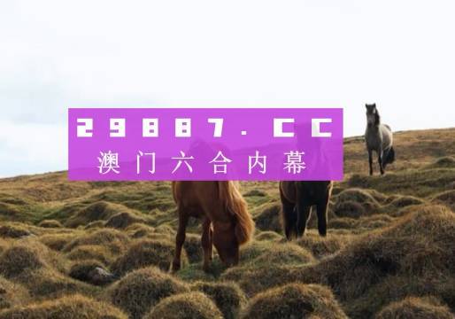 澳门六开奖结果今天开奖记录，探索与解析，澳门今日开奖结果探索与解析