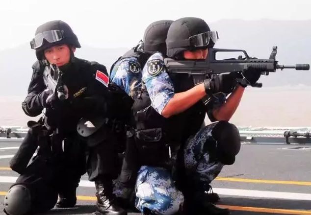 揭秘蛟龙突击队杨锐原型，勇者无惧，志在千里，揭秘蛟龙突击队杨锐原型，勇者之志，无惧千里挑战