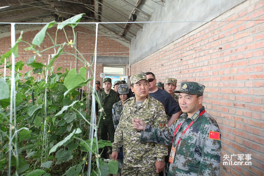 参观朱日和训练基地，深入了解中国国防力量的缩影，探访朱日和训练基地，中国国防力量的深度缩影