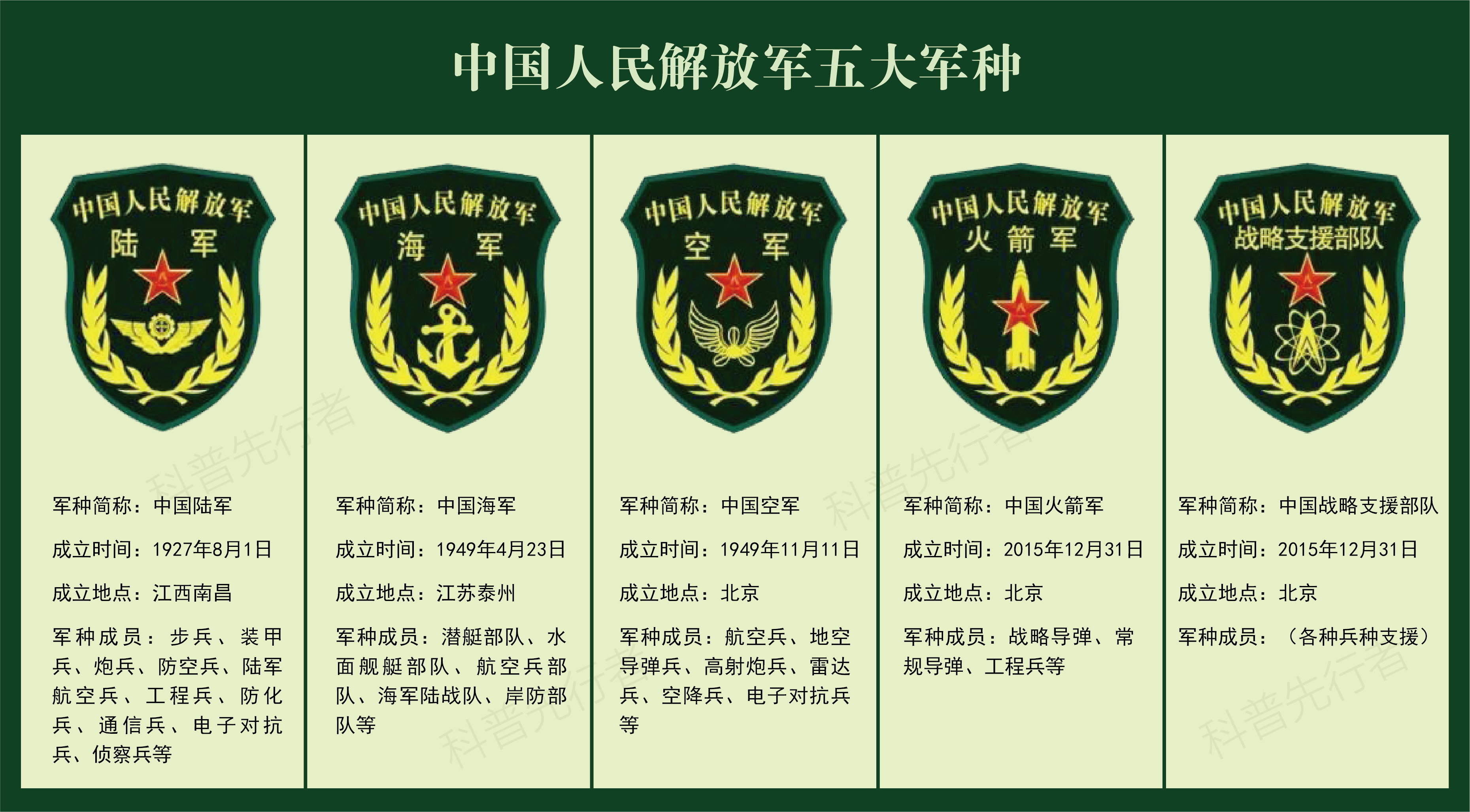 解放军军种介绍，多元化力量的璀璨展示，解放军军种多元化力量璀璨展示，多元化军种力量介绍