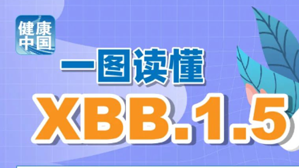 澳门2025正版资料免费公开，探索与期待，澳门2025正版资料免费公开，探索之旅与期待的目光