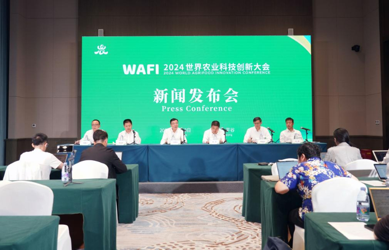科技创新引领未来，一场别开生面的新闻发布会，科技创新引领未来，一场精彩纷呈的发布会