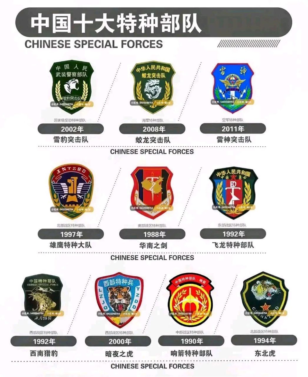 中国特种部队排名全球，实力、影响力与前瞻，中国特种部队全球排名，实力、影响力及未来展望