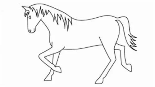 揭秘十二生肖王中王，你猜对了吗？，揭秘十二生肖之王，你能猜中真正的王者吗？