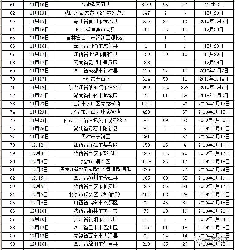 最新消息汇总，全球动态概览，全球最新消息汇总与动态概览