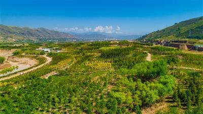 西宁新闻联播，城市发展的脉搏与文化的繁荣，西宁新闻联播，城市发展与文化繁荣的脉搏