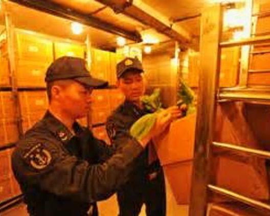 一美元买航母是真的吗？——揭秘传闻背后的真相，揭秘传闻真相，一美元买航母是真是假？