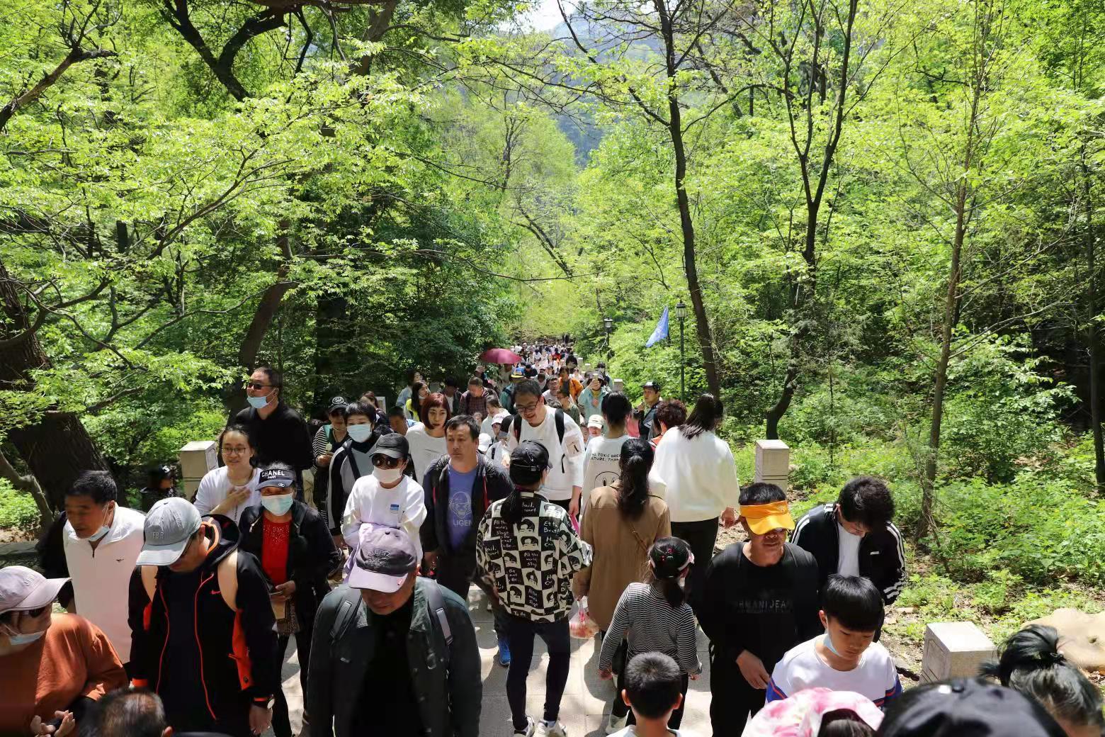 新华网、凤凰网、今日头条与腾讯新闻，新闻传播的多元视角，多元视角下的新闻传播巨头，新华网、凤凰网、今日头条与腾讯新闻聚焦报道
