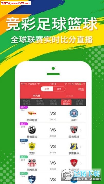 揭秘Com504精准王中王一肖的神秘面纱，Com504精准王中王一肖揭秘，揭开神秘面纱探真相