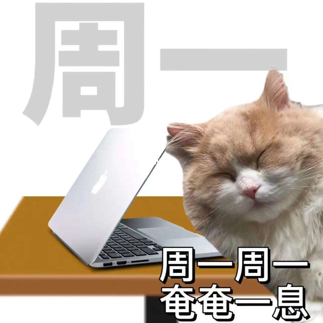 今天怎么才是周一，对时间的深度思考与生活的新视角，时间感知的反思，周一的启示与生活新视角