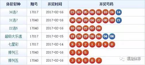 探索数字世界，665335王中王平特一肖高论坛r的奥秘，数字世界的探索之旅，揭秘王中王平特一肖高论坛r的神秘面纱