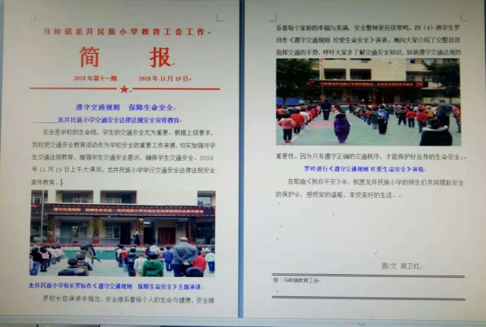 简报的重要性及其应用，简报的重要性及其广泛应用