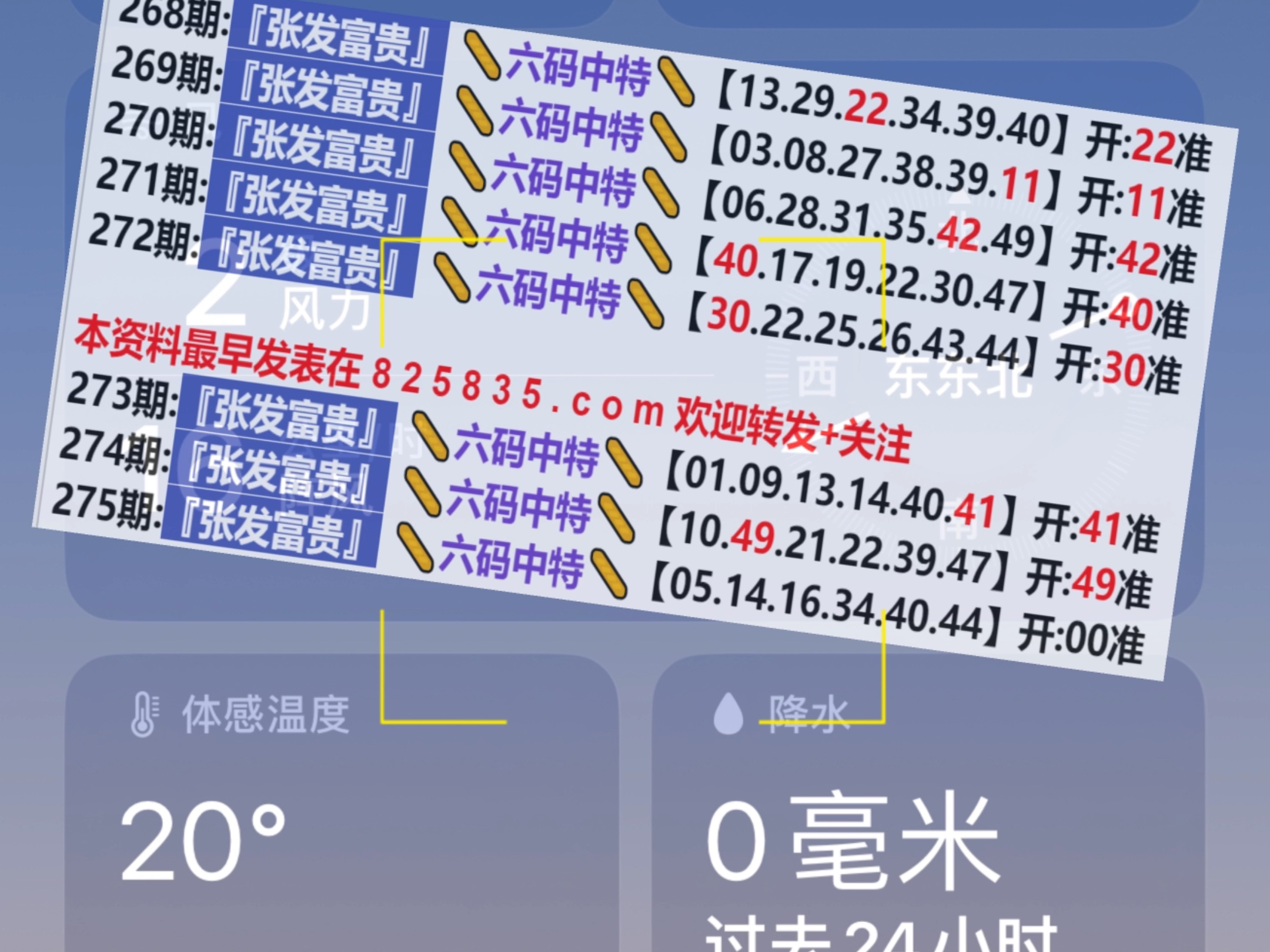 澳门彩票开奖结果查询，探索新澳门开奖记录与未来展望（2024年开奖记录查询），澳门彩票开奖结果查询，回顾新澳门开奖记录与未来展望（2024年最新开奖记录查询）
