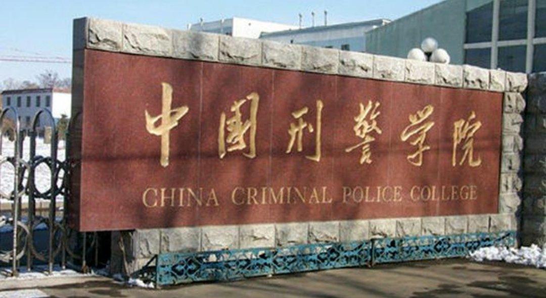 中国最好的武警学校排名，中国武警学校排名榜单揭晓，顶尖院校一览