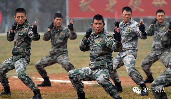 中国陆军猎人集训队，锻造精锐之师的锤炼之地，中国陆军猎人集训队，锻造精锐之师的锤炼殿堂