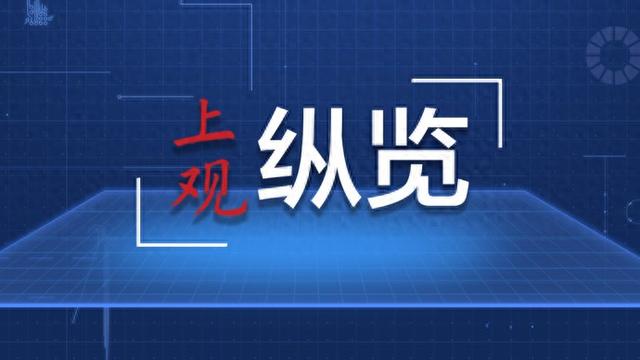 历史背景分析（或深度解析）