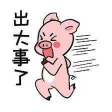 出啥大事了，探寻重大事件背后的真相与影响，探寻重大事件背后的真相与影响，揭秘事件背后的故事