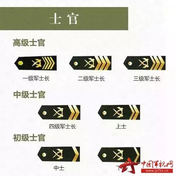 中国军士长军衔等级及标志，荣耀的象征与时代的印记，中国军士长军衔等级与标志，荣耀时代的印记
