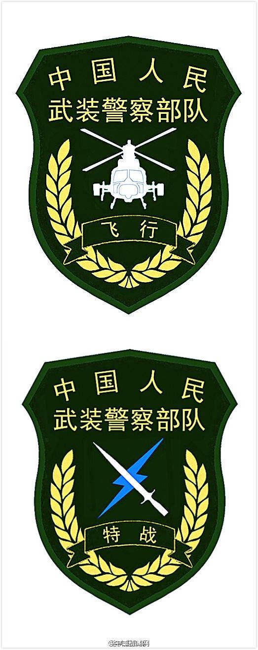 武警全套服装一览表，武警全套服装概览