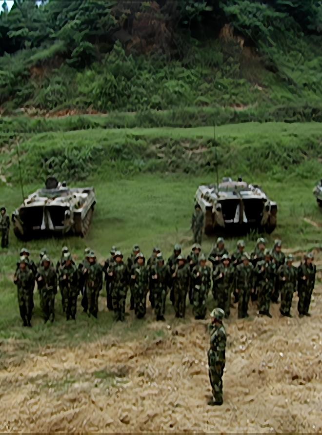 武警部队兵力，规模、结构与发展趋势，武警部队兵力，规模、结构与未来发展趋势展望