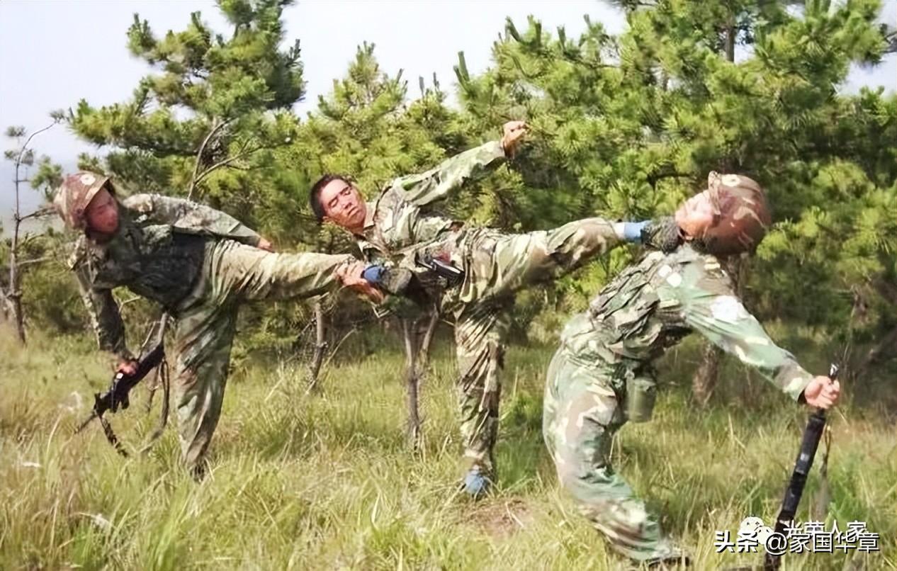 军转网论坛自主择业，探索与机遇，军转网论坛，自主择业探索与机遇