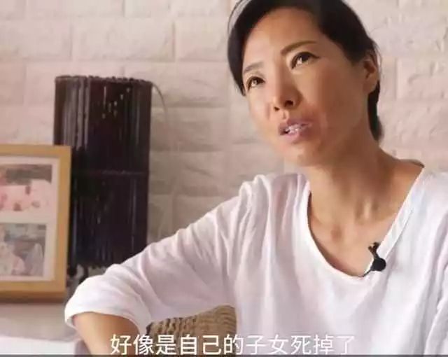 杨欢世界新闻报，揭示全球动态的窗口，杨欢世界新闻报，全球动态之窗