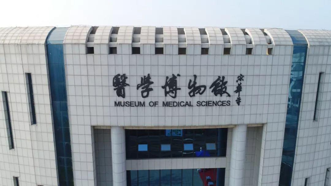 发展到2019年，技术革新、社会变革与未来展望，技术革新、社会变革与未来展望，2019年及以后的发展展望