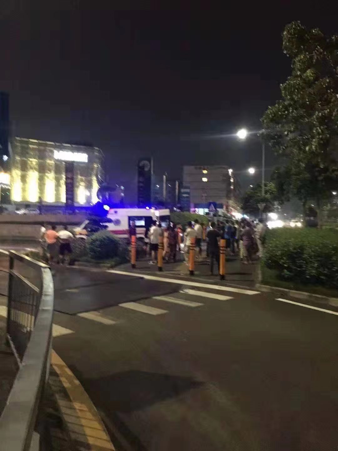 平湖今日重大新闻，城市新动向与社会发展的脉搏，平湖最新动态，城市新动向揭示社会发展脉搏