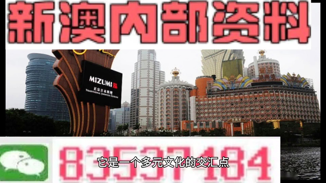 澳门资料大全，正版资料今日概览，澳门正版资料大全，今日最新概览