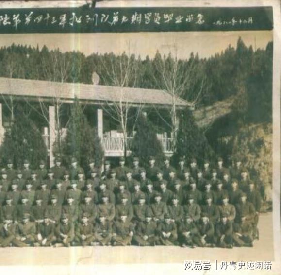 关于38集团王牌军的现状解析，38集团王牌军现状深度解析