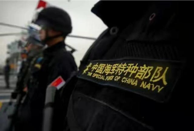 蛟龙突击队臂章介绍，荣耀与使命的象征，蛟龙突击队臂章，荣耀与使命的标志介绍