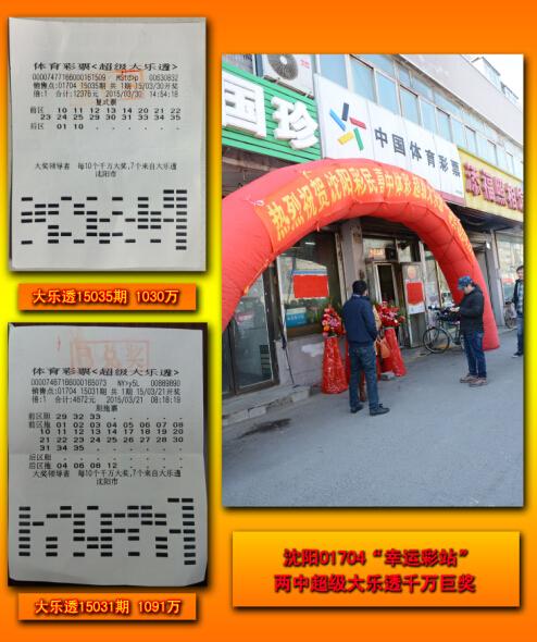 王中王平特一肖二选一，策略、智慧与决断，王中王平特选策略，智慧与决断的较量
