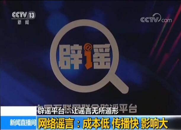 中央新闻举报平台，舆论监督的新力量，中央新闻举报平台，舆论监督的新力量崛起