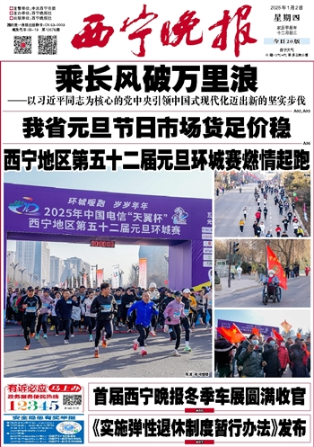 西宁今日头条新闻概览，西宁最新今日头条新闻概览