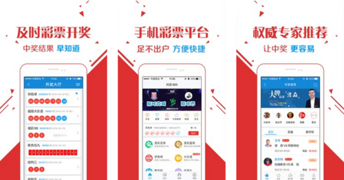 王中王玄机平特一肖，探寻命运之轮背后的秘密，探寻命运之轮背后的秘密，王中王玄机平特一肖揭秘命运密码