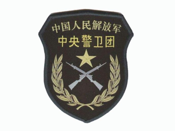 揭秘蛟龙突击队臂章高清图背后的故事，揭秘蛟龙突击队臂章背后的故事与高清图展示