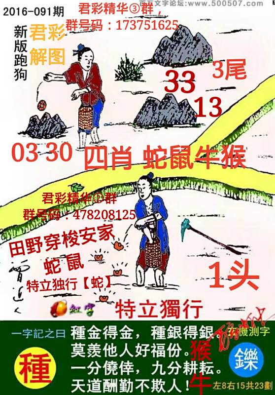 探索精准跑狗图，数字组合的魅力与策略，精准跑狗图数字组合的魅力与策略探索