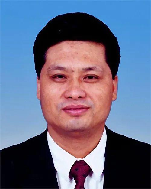 中央任命，权力运作与治理体系的体现，中央任命，权力运作与治理体系的展现