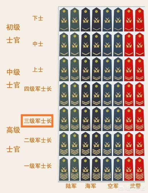 四级军士长改革，重塑军事职业发展的路径与机遇，四级军士长改革，重塑军事职业发展路径与机遇的挑战