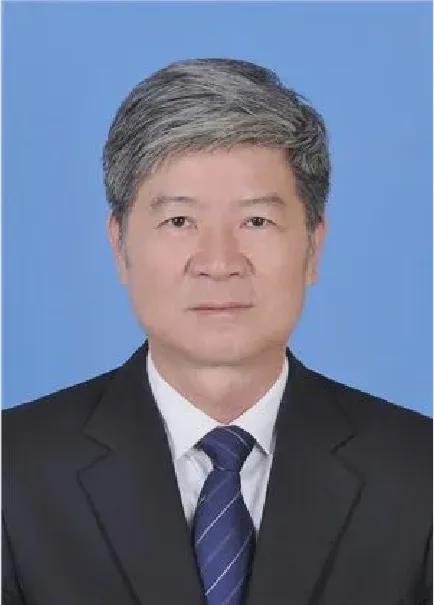 军事评论员杜文龙泽，深度解析军事现象背后的籍贯脉络，军事评论员杜文龙泽深度解读军事现象背后的籍贯联系