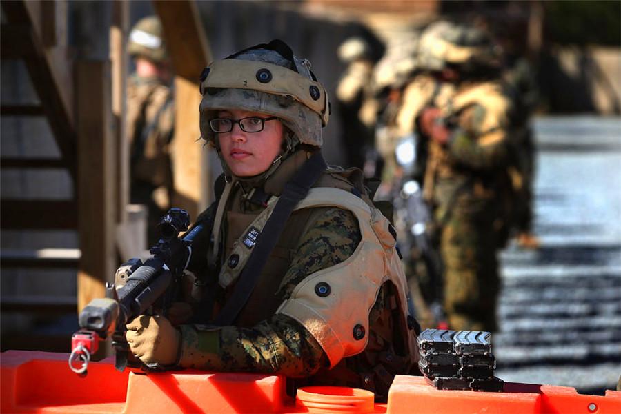 海军陆战队女兵队长，坚韧与荣耀的象征，海军陆战队女兵队长，坚韧荣耀的象征