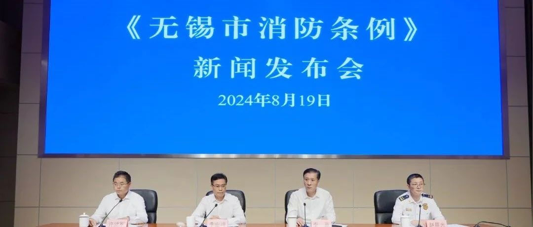 深度解析/深度解读分析