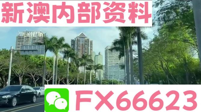 新澳精准资料，助力决策与成长的无价资源，新澳精准资料，决策与成长的必备资源