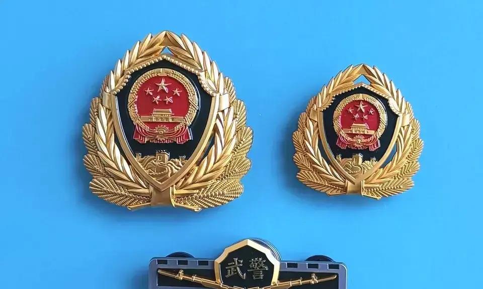 武警常服配饰，展现军威与荣耀的象征，武警常服配饰，军威与荣耀的彰显