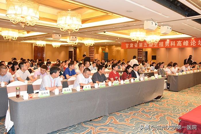 男性论坛，探索男性心声的新天地，男性心声探索论坛，男性论坛的新天地